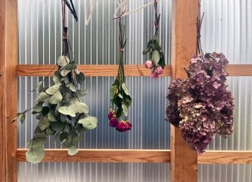 風通しの良い日陰をさがして