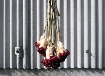 完成！ドライフラワー